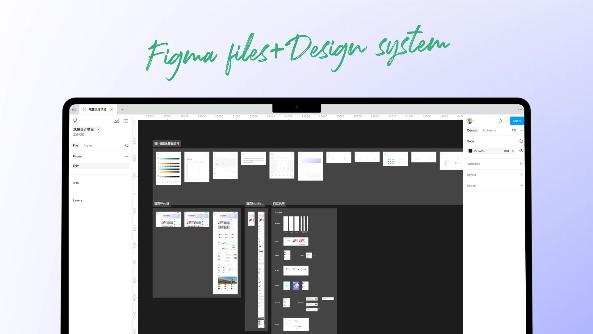 观猹 Insight Web 与移动端界面展示