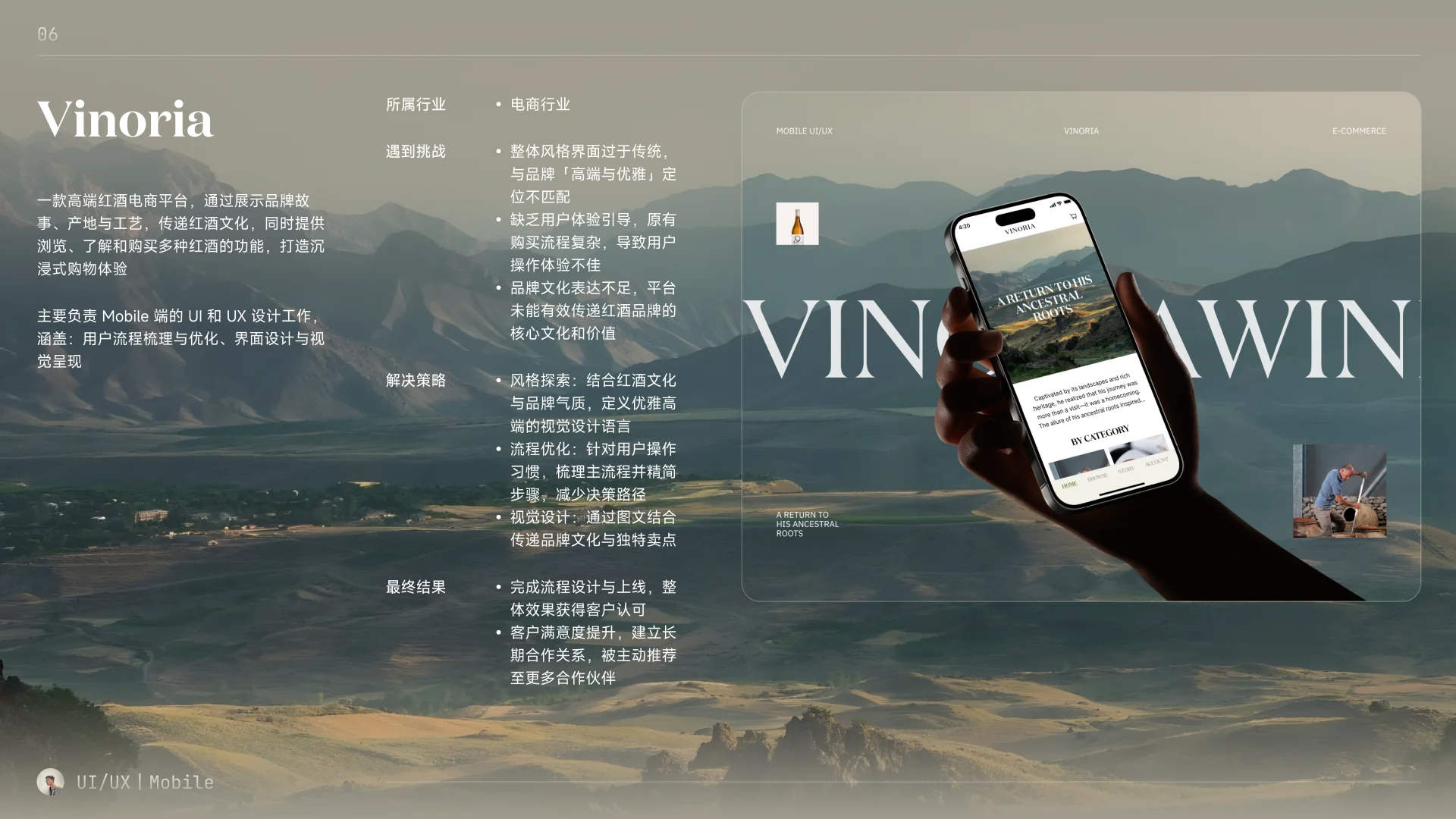 Vinoria 项目背景、挑战、设计策略与结果